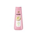 Dove x Crumbl Key Lime Pie 591ml